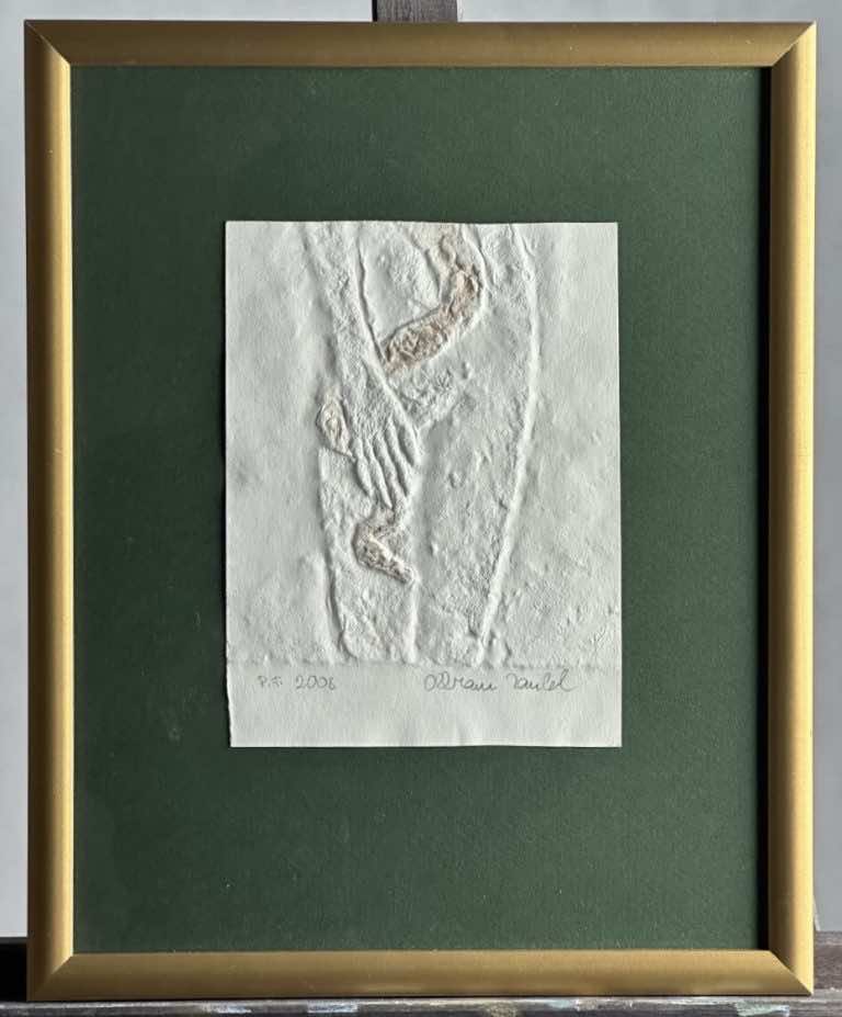 Reliéfní tisk, zlacený had.