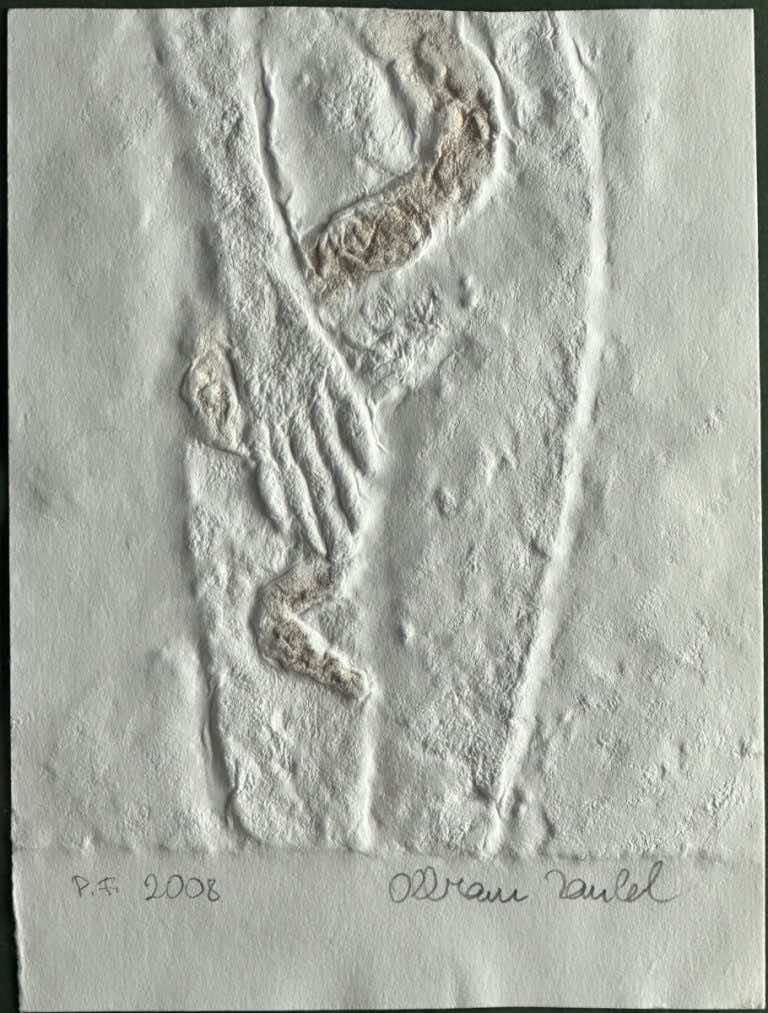 Detail reliéfního tisku, signatura Olbram Zoubek, značka P.F. 2008.