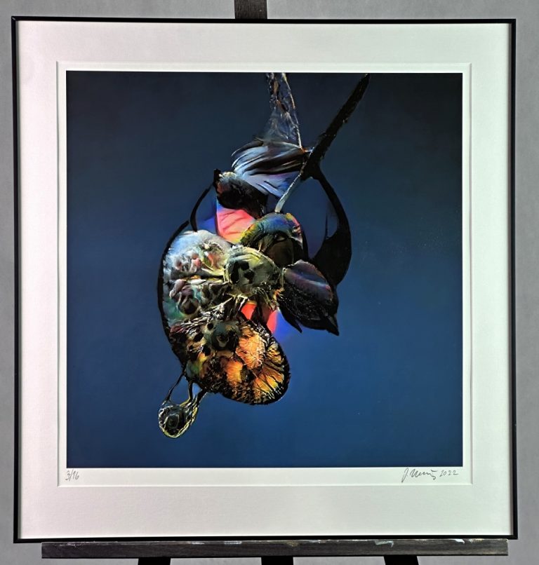 Umělecký tisk. Fineart.