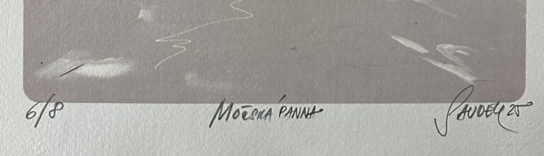 Číslo listu, název díla, signatura Saudek 25