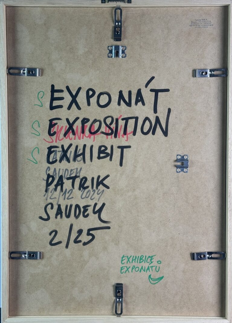 Exhibice exponátů - Patrik Saudek
