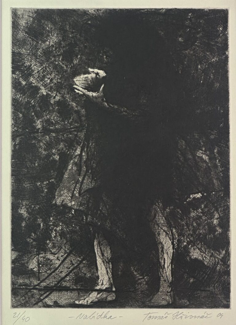 Tomáš Hřivnáč - Nabídka
