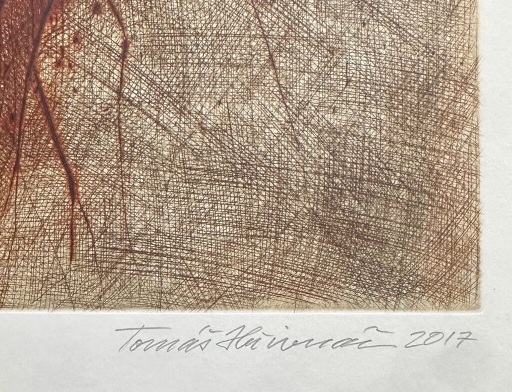 Tomáš Hřivnáč - Úvod